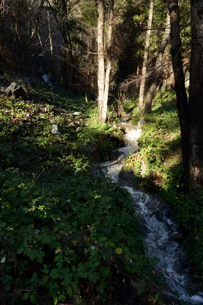 DSC_0926 (Large).JPG